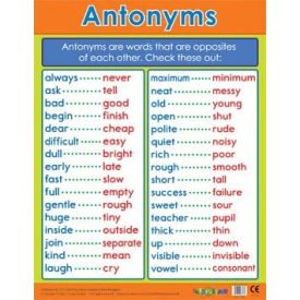 Antonyms Literacy School Poster