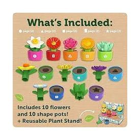 Shape and Colour Garden