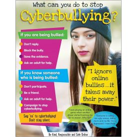 Cyberbullying Poster...