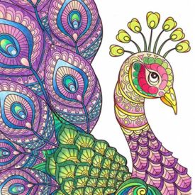 Pentel Arts - 24 Colouring Pencils
