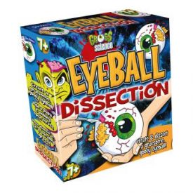 Eyeball Dissection